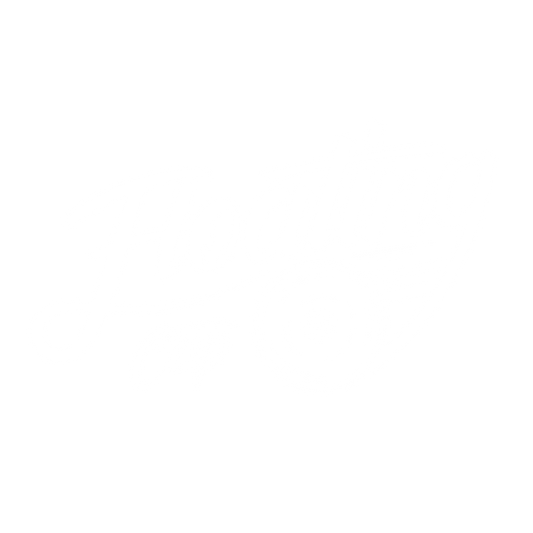 フローティングセンターキャップ for WORKタイプ